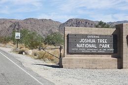 Route 66 - Sidetrip Joshua Tree NP